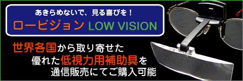 �����ӥ���� LOW VISION